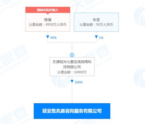杨澜新公司业务扩展 新能源汽车销售与信息系统集成服务