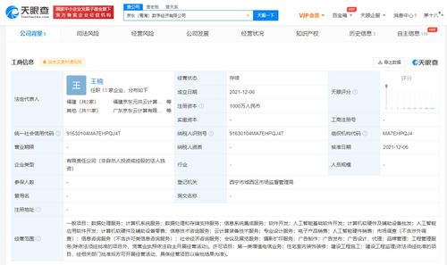 信息系统集成服务 数字时代企业的智能基石